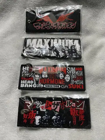 맥시멈 더 호르몬 자수 플라이트 태그 세트