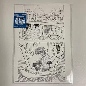 ONE PIECE ALL PAGES BASE SHOP 샹크스 명장면