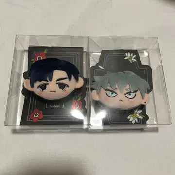 에이스테 이반틸