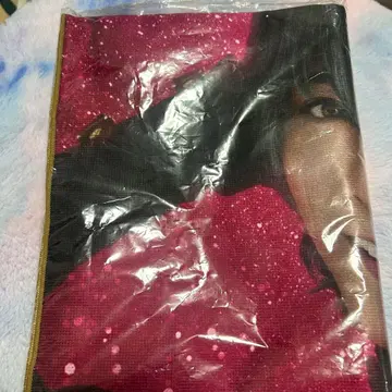 안스테 미카 2.5차원 샵 타월 이노 히로키 MoM