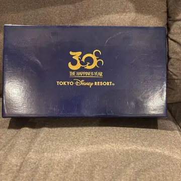 디즈니 디지털 사진 프레임