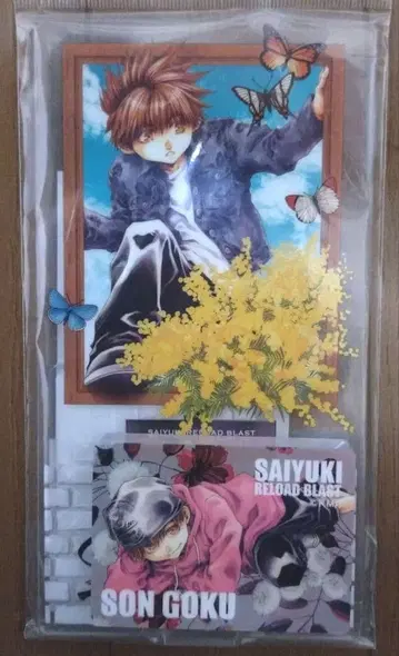 최유기 손오공 세트