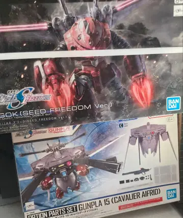 건담 프라모델 HG 즈고크 SEED FREEDOM & 캐버리어 아이프리드