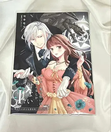 얀데레 마법사는 석상의 소녀밖에 사랑할 수 없어 1 소책자 토라노아나