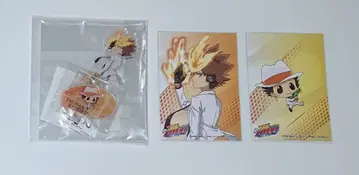 가정교사 히트맨 REBORN! 아크릴 스탠드