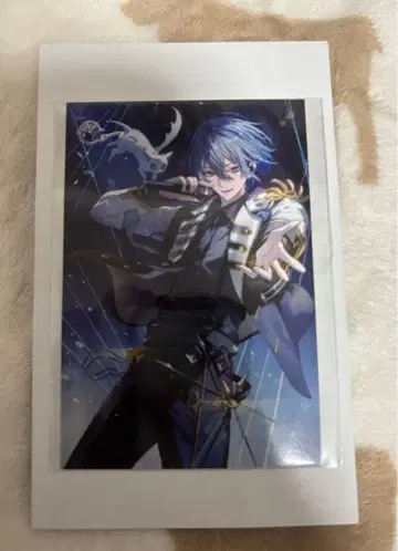 코야나기 로우 퍼펙트 원 포커스 카드 니지산지