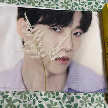 주노 패브릭 포스터