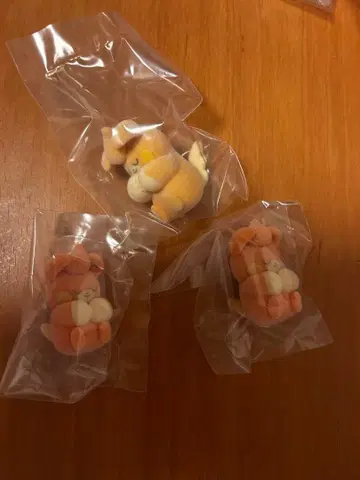 포켓몬 포근포근 인형 파모 파모트