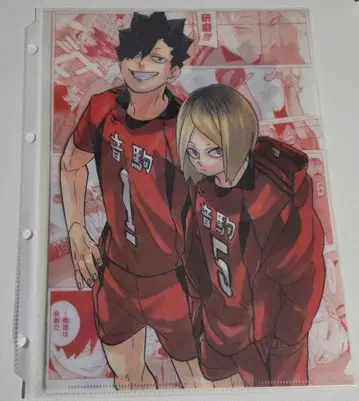 하이큐!!전 클리어 파일 네코마