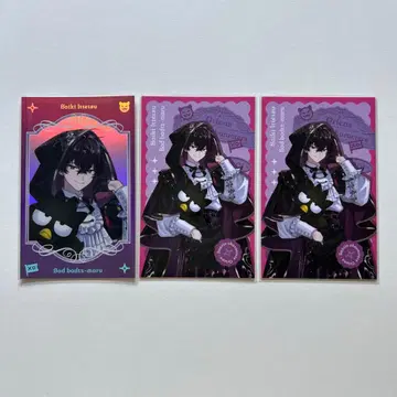 니지산지 Oriens 사에키 잇테츠 산리오 콜라보 폴라로이드 세트