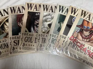 원피스 해군 발행 공식 수배서