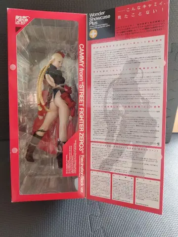 캐미 파시네이션 블랙 ver 1/6 사이즈 피규어 카이요도