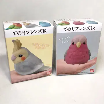 테노리 프렌즈 1R 코카투 복숭아색 잉꼬