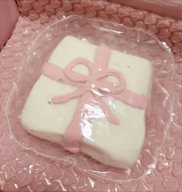 kikisquishy 키키 스퀴시 L 사이즈 분말 포함 선물 흐릿한 봉투