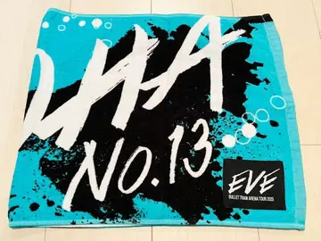 초특급 알로하 EVE 타월