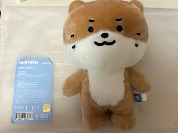 SEVENTEEN MINITEEN 미니틴 찬다리 봉제 인형