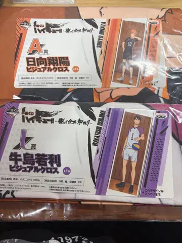 하이큐 비주얼 크로스 우시지마 와카토시 히나타 쇼요