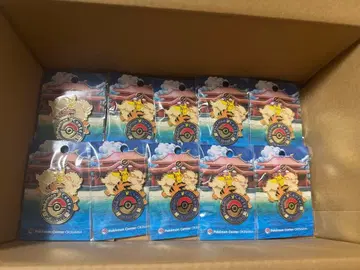 10개 포켓몬 센터 오키나와 로고 핀즈