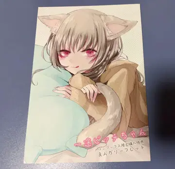 일편단심 비치쨩 1권 멜론북스 특전 리플렛