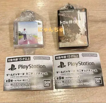 게임 패키지 미니어처 참 (Playstation)