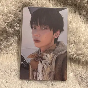 THE SIN VANISH SHOWCASE 트레이딩 카드 선우