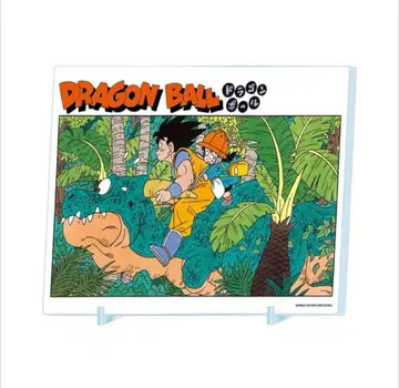 JCS 한정판 [ DRAGON BALL ] 호일 아크릴 아트