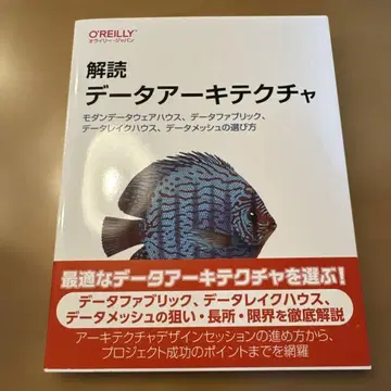 해독 데이터 아키텍처 : 모던 데이터 웨어하우스, 데이터 패브릭, -