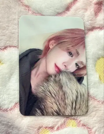 XLOV together 움티 트레이딩 카드 미공개 포토카드