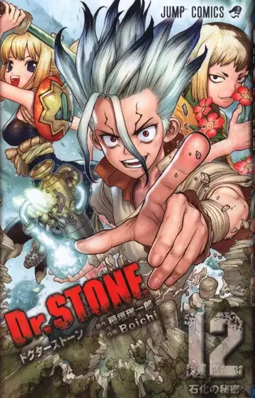 슈에이샤 점프 코믹스 Boichi Dr.STONE 12