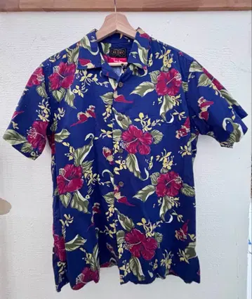 BEAMS PLUS x DALE HOPE 별주 하와이안 셔츠