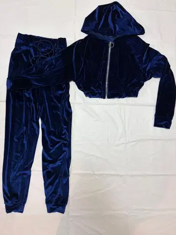 찰리와 초콜릿 공장의 바이올렛