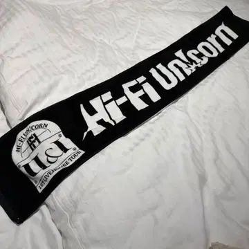 Hi-Fi Unicorn 1st Livehouse Tour U&I 타월
