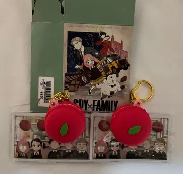 [ 익명 배송 ] USJ SPY x FAMILY 콜렉터블
