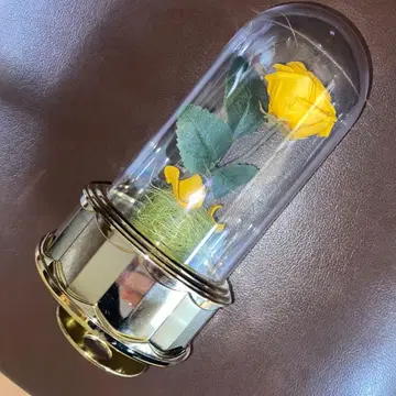 로즈 돔 오르골 미녀와 야수