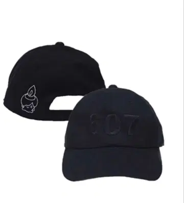 새상품 포켓몬스터 고스트 타입 CAP 히토모시 607