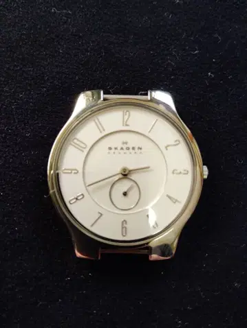 가동 확인 SKAGEN 아날로그 손목시계 화이트