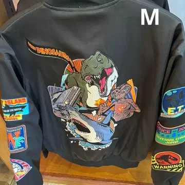 USJ 유니버셜 25주년 쥬라기 공원 스카잔 M