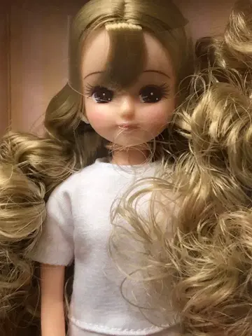 리카짱 캐슬 벌스데이 모델 리카짱 2026 미개봉 새상품