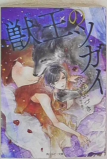 KADOKAWA 루비 문고 아마노 카즈키 수왕의 쌍