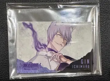 BLEACH 이치마루 긴 아야카시 소사이어티