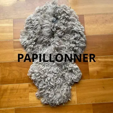 PAPILLONNER 숄 모 스웨이드