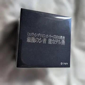 나기사 카오루전 에반게리온 DSS 초커풍 반지