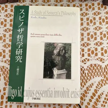 스피노자 철학 연구