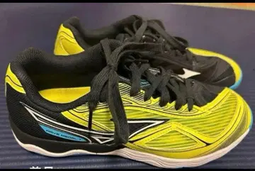 탁구 신발