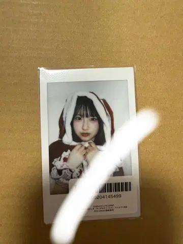 사쿠라바 하루카 폴라로이드