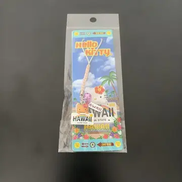 하와이 한정 키티 번호판 스트랩