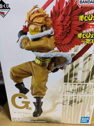 나의 히어로 아카데미아 돌입 G상 호크스