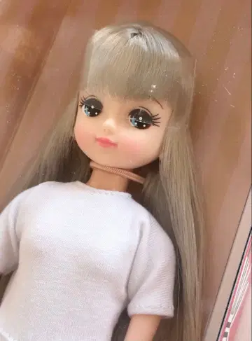 2019년 고베 산노미야 BASIC 모델 키라짱 리카짱 캐슬