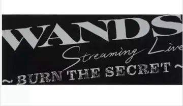 WANDS 페이스 타월