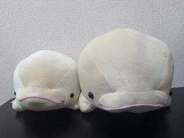 [흰돌고래] 말랑말랑 봉제 인형 하케이시마 씨 파라다이스 2개 세트